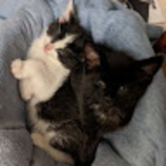 Meet your Posher, Melinda - Picture 1 of 1